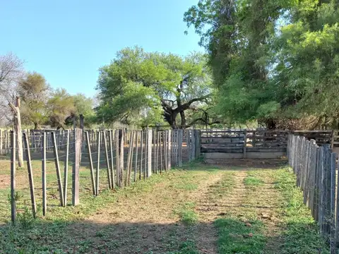 Campo sobre ruta 81 - Chiriguanos-