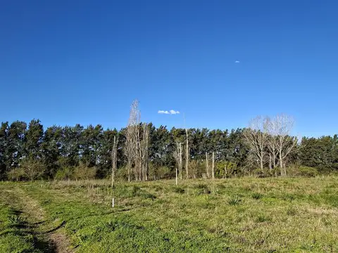 Excelente lote de 3.080 m2 en venta en Los Cardales rodeado de Barrios Cerrados