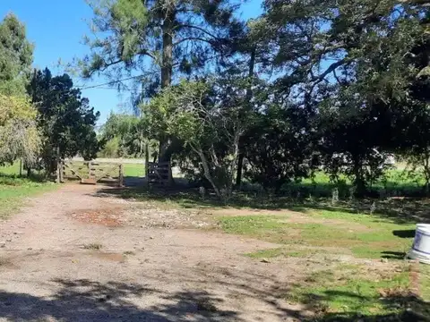 Terreno en venta - 12.000Mts2 - Magdalena