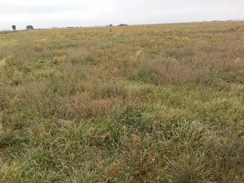 110 Hectaréas en Cordoba - para Siembra - molino con tanque