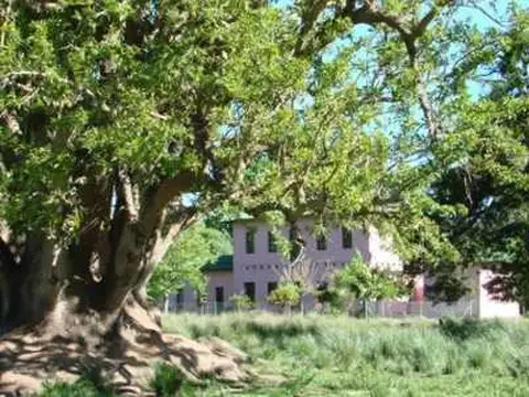 Campo en venta en Bme Bavio Gral Mansilla