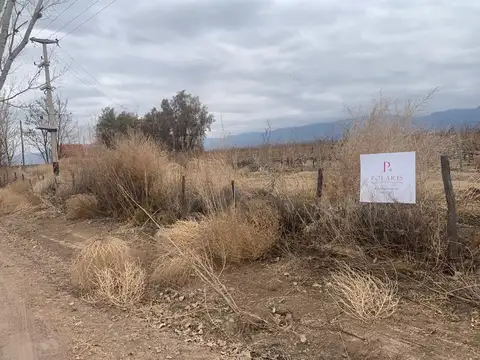 Valle de Uco