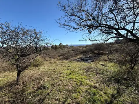 Terreno en Venta en Villa Santa Cruz del Lago, USD 14.900
