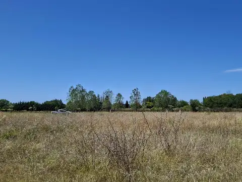 Terreno en Venta 60  mts Fondo