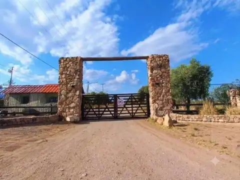 Venta lote La Magdalena Olivar Luján Mendoza