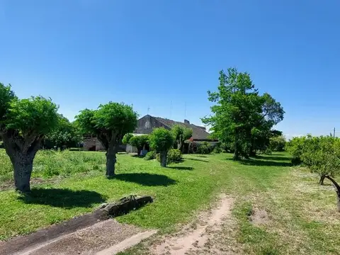 Quinta en Venta en Paso De La Arena, USD 260.000