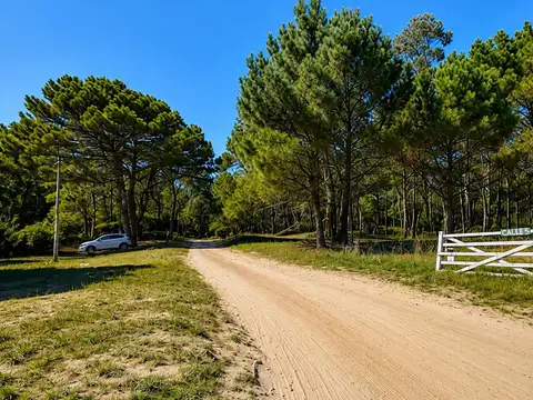 Terreno en Venta de 1140,0 m2