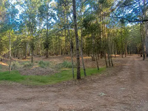 Lote a la venta de 1140m² en el Pinar de Lucila del mar.