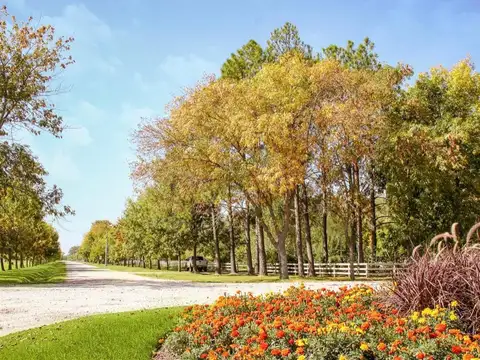 Terreno en Venta en Fincas de San Vicente, USD 45.000
