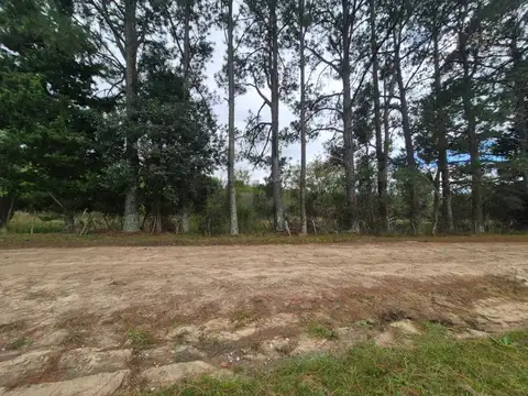 TERRENO 5000M2 EN SAN CLEMENTE - A 2 CUADRAS DE LA RUTA -  -