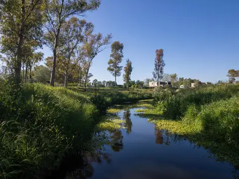 Lote en venta en Azzurra  Orientación Noroeste