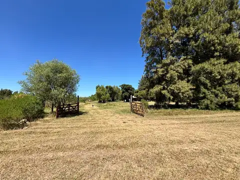 Playa Mansa, arroyo seco