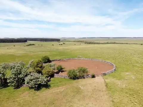 VENTA DE CAMPO GANADERO – 694 HAS. EN RIO NEGRO