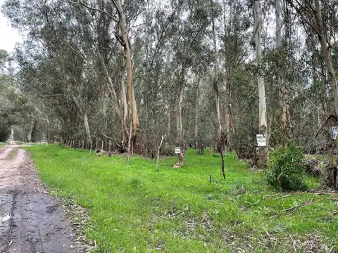 Terreno en Venta en Necochea, USD 9.000