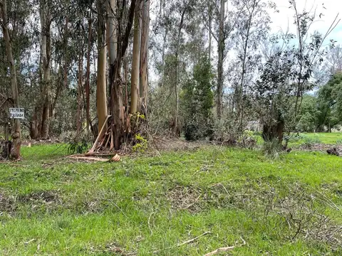 terreno sobre 201 casi 66