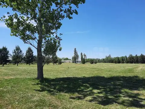 Terreno en Venta 63  mts Frente