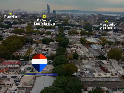 Nueva Palmira 1800