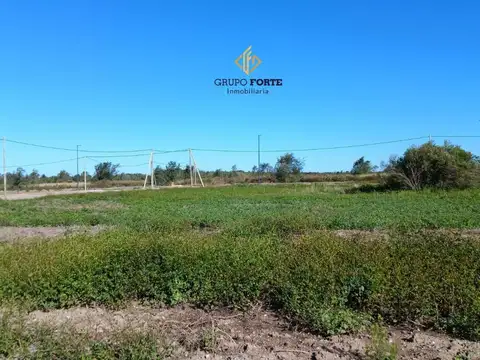 Docta Parque