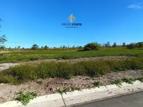 Terreno en Venta 12  mts Frente