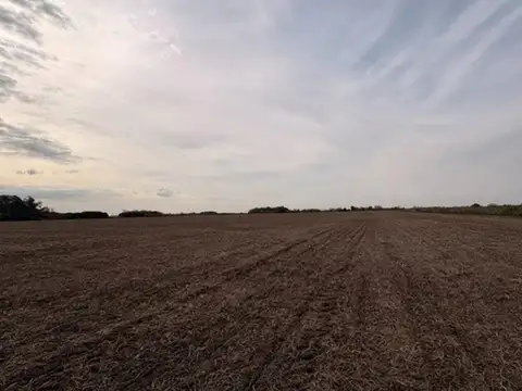 Campo en Venta de 41  ha