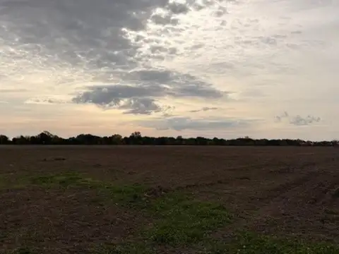 Campo en Venta de 41  ha