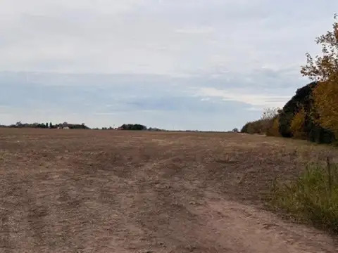 Campo en Venta Agrícola