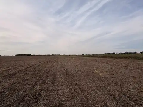 Campo de 41 hectareas Agricola Rueda - Santa Fe,