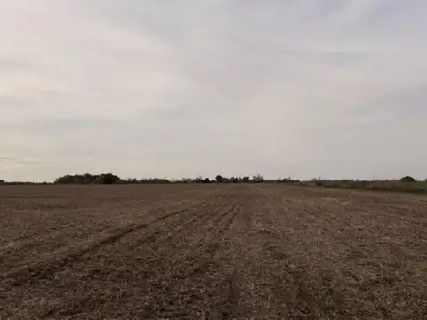 Campo de 41 hectareas Agricola Rueda - Santa Fe,