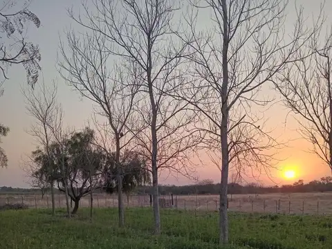 VENTA CAMPO 5Ha en SANTIAGO DEL ESTERO