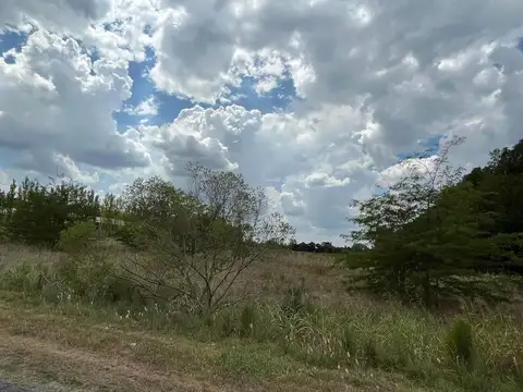 Chacra camino a Tomás Jofré