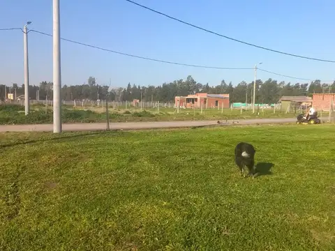 Terreno Lote  en Venta en Los Cardales, Exaltación de la Cruz, G.B.A. Zona Norte