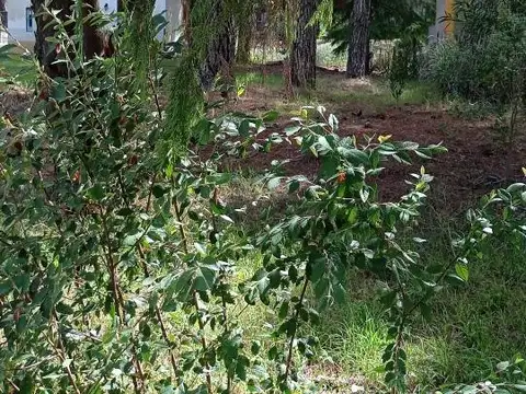 Terreno en venta - 475Mts2 - Mar Azul