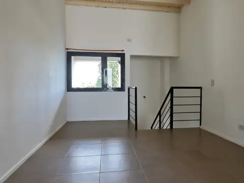 Carlos Pellegrini 100