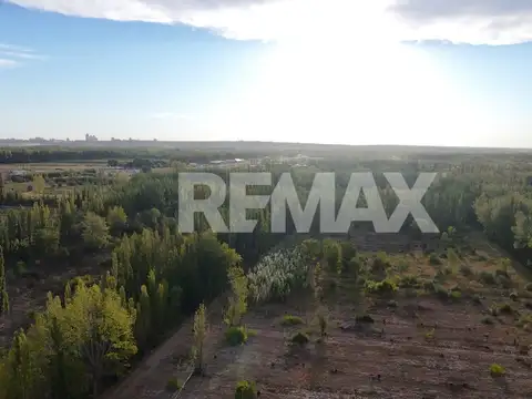 Terreno en Venta en Cipolletti, USD 60.000