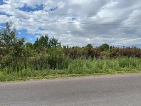 LOTES EN VENTA COLONIA SEGOVIA GUAYMALLEN