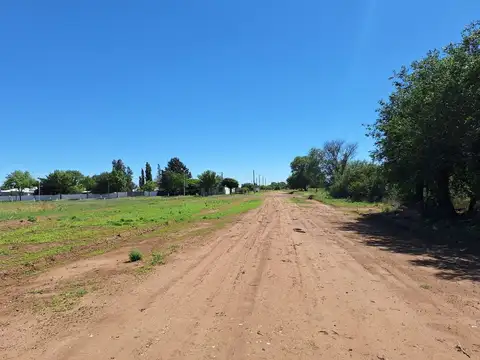Terreno en Venta de 1250,0 m2