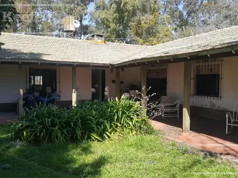 Chacra en Venta de 34 has en Lezama. Ideal para Producir y Disfrutar a 1 hora y media de Buenos Aires.