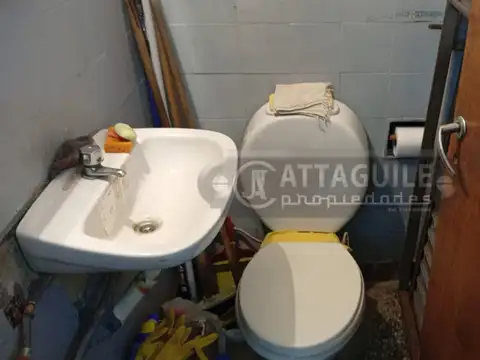 MENDILUCE 100