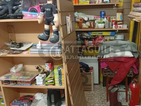 Local - Venta - Argentina, Merlo - MENDILUCE 100