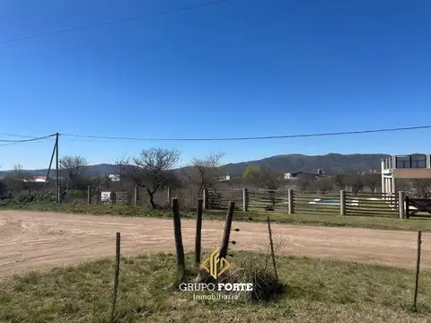 Los Espinillos