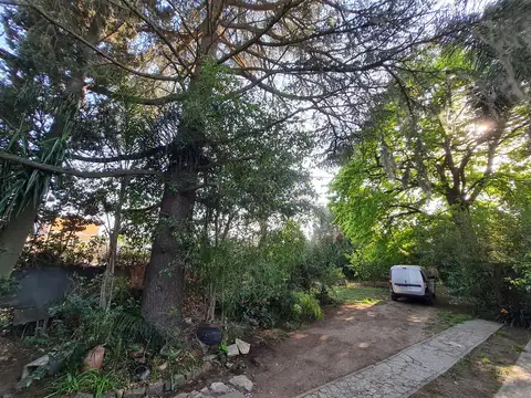 Miguel Cane esq mendoza