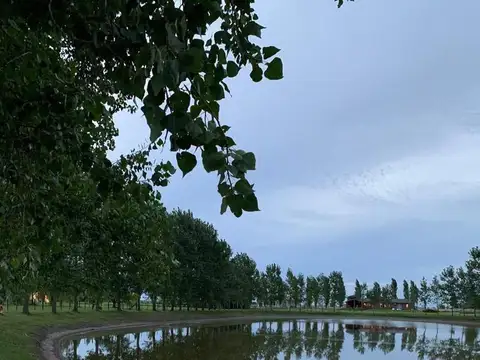 Terreno en venta en San Miguel Del Monte, Chacras de Abbott