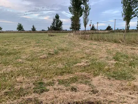 Lote  en venta en Chacras de Abbott, Monte