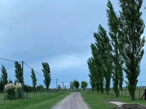 Terreno en Venta de 8871,0 m2