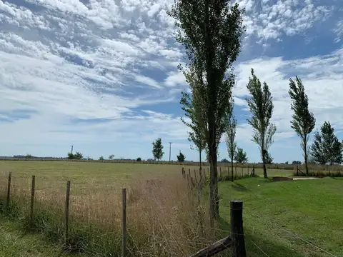 Lote  en venta en Chacras de Abbott, Monte