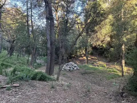 LOTE VENTA SAN MARTIN DE LOS ANDES. ALIHUEN ALTO APTO COMERCIAL