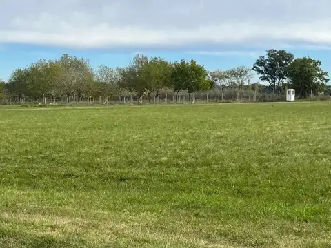 Terreno en Venta de 3166,0 m2