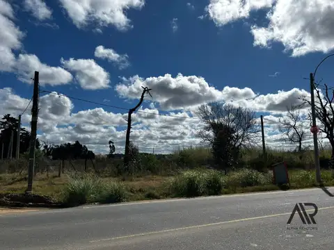 VENTA TERRENO IDEAL INVERSOR, Cno. de Los Horneros