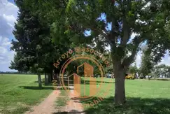 Emprendimiento en Domselaar