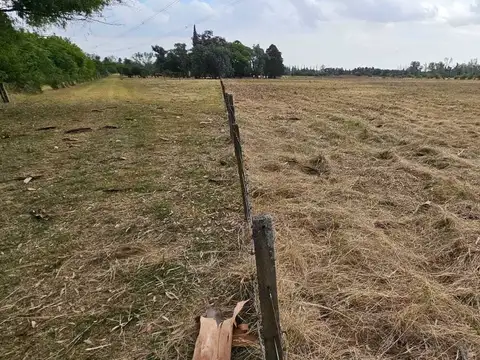 Terreno en Venta de 8,0 m2